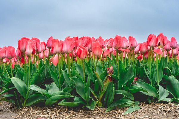 Recycler pour décorer : comment créer une déco éco-responsable ?